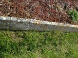 image of grave number 312927